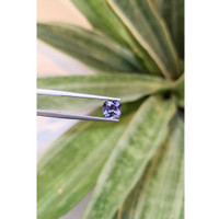 1.42 Ct. Tanzanite from Tanzania Life Style