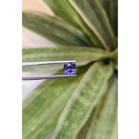 1.80 Ct. Tanzanite from Tanzania Life Style