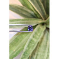 2.04 Ct. Tanzanite from Tanzania Life Style