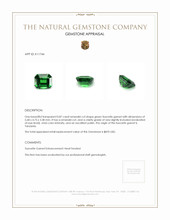 0.87 Ct. Tsavorite Garnet from Tanzania Appraisal