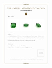 0.98 Ct. Tsavorite Garnet from Tanzania Appraisal