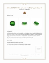 1.02 Ct. Tsavorite Garnet from Tanzania Appraisal