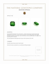 1.02 Ct. Tsavorite Garnet from Tanzania Appraisal