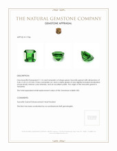 1.14 Ct. Tsavorite Garnet from Tanzania Appraisal