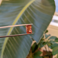 3.84 Ct. Tourmaline from Mozambique Life Style