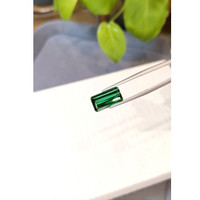 5.60 Ct. Green Tourmaline from Brazil Life Style