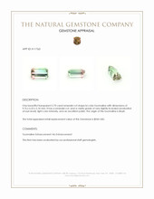 2.70 Ct. Tourmaline from Brazil Appraisal