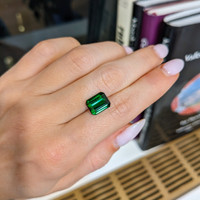3.93 Ct. Tourmaline from Brazil Life Style