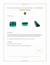 6.08 Ct. Tourmaline from Brazil Appraisal