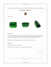 11.06 Ct. Tourmaline from Brazil Appraisal