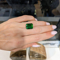11.06 Ct. Tourmaline from Brazil Life Style