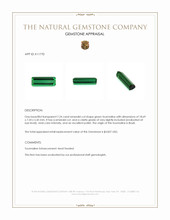 7.24 Ct. Green Tourmaline from Brazil Appraisal