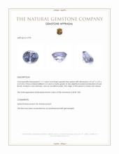 1.17 Ct. Greyish Blue Spinel from Ceylon (Sri Lanka) Appraisal
