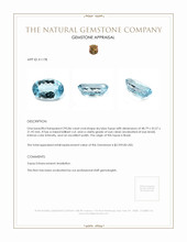 295.86 Ct. Topaz from Brazil Appraisal