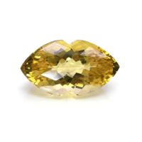 23.29 Ct. Citrine from Ceylon (Sri Lanka) Video