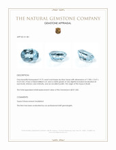 19.72 Ct. Sky Blue Topaz from Brazil Appraisal