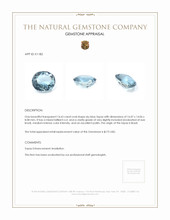14.63 Ct. Sky Blue Topaz from Brazil Appraisal
