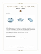 10.23 Ct. Sky Blue Topaz from Brazil Appraisal