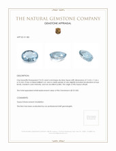 10.23 Ct. Topaz from Brazil Appraisal