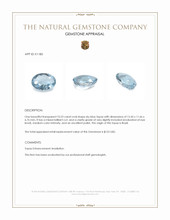 10.23 Ct. Topaz from Brazil Appraisal