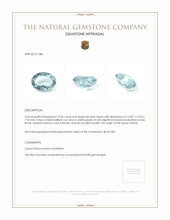 12.46 Ct. Sky Blue Topaz from Brazil Appraisal