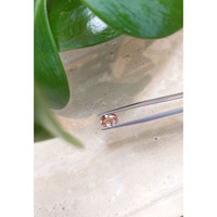 1.88 Ct. Garnet from Madagascar Life Style