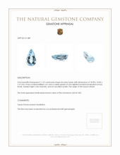 11.25 Ct. Topaz from Brazil Appraisal