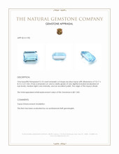 5.10 Ct. Topaz from Brazil Appraisal