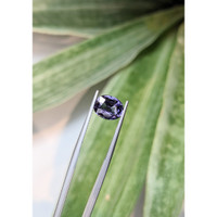 2.61 Ct. Spinel from Burma (Myanmar) Life Style