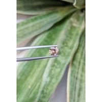 1.37 Ct. Spinel from Tanzania Life Style