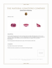 0.73 Ct. Pink Tourmaline from Mozambique Appraisal