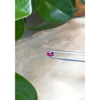 0.73 Ct. Tourmaline from Mozambique Life Style