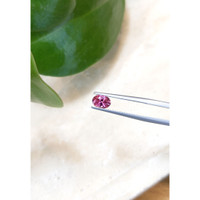 0.74 Ct. Tourmaline from Mozambique Life Style