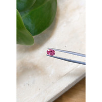 0.76 Ct. Tourmaline from Mozambique Life Style