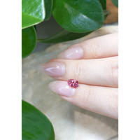 0.76 Ct. Tourmaline from Mozambique Life Style
