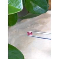 0.76 Ct. Tourmaline from Mozambique Life Style