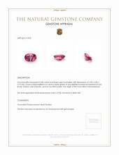 0.80 Ct. Tourmaline from Mozambique Appraisal