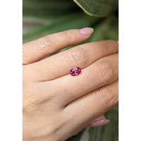 0.80 Ct. Tourmaline from Mozambique Life Style