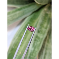 0.80 Ct. Tourmaline from Mozambique Life Style