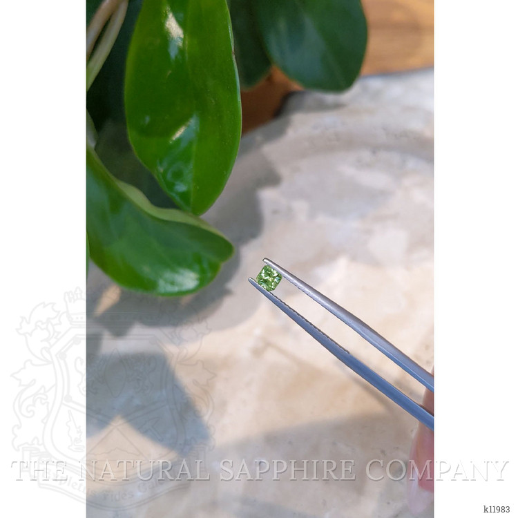 0.29 Ct. Demantoid Garnet from Namibia