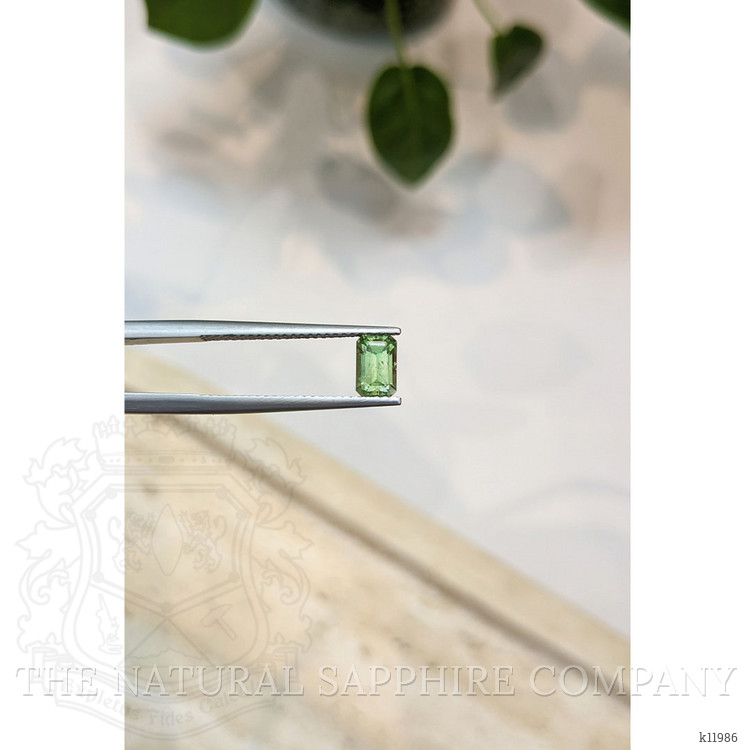 0.94 Ct. Demantoid Garnet