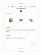 0.93 Ct. Demantoid Garnet from Namibia Appraisal