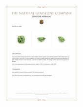 0.93 Ct. Green Demantoid Garnet from Russia Appraisal