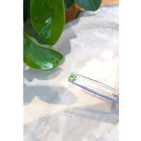 0.93 Ct. Demantoid Garnet from Russia Life Style