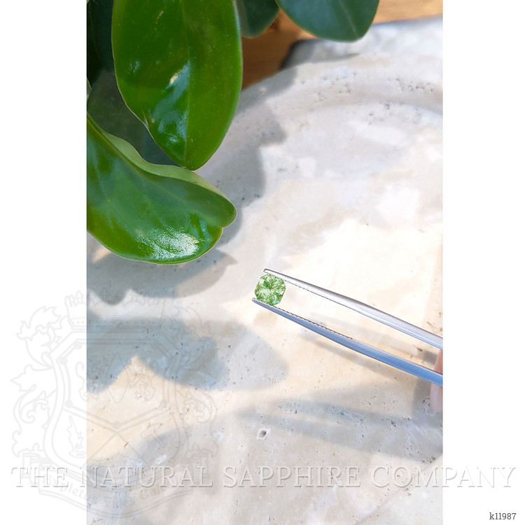 0.93 Ct. Demantoid Garnet from Russia