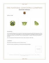 0.52 Ct. Demantoid Garnet from Namibia Appraisal