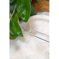 0.52 Ct. Demantoid Garnet from Namibia Life Style