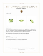 0.41 Ct. Green Demantoid Garnet from Namibia Appraisal