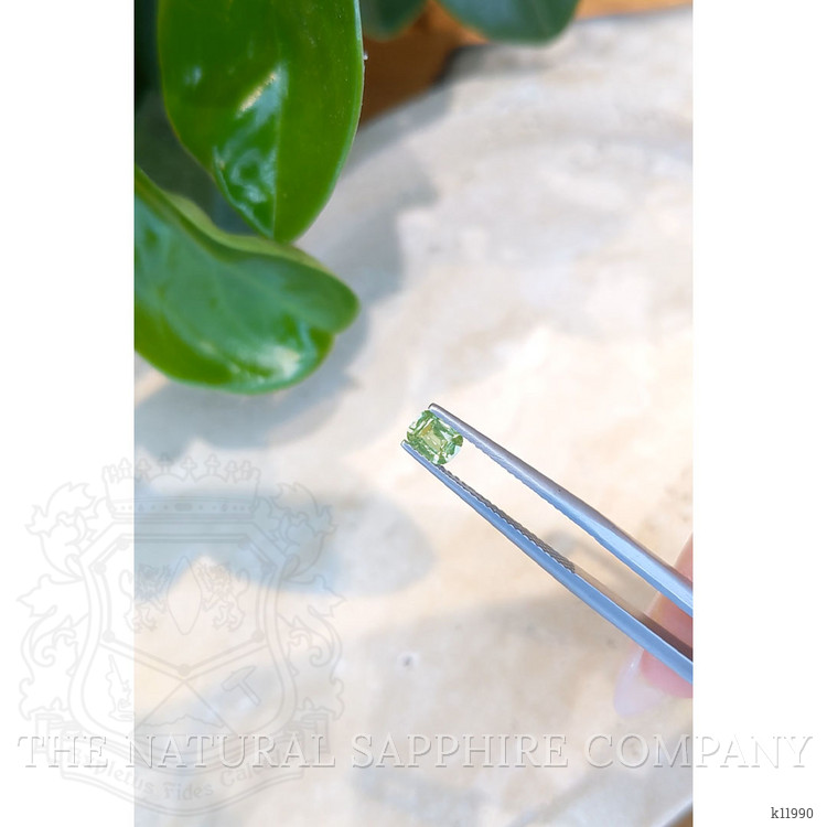 0.41 Ct. Demantoid Garnet from Namibia