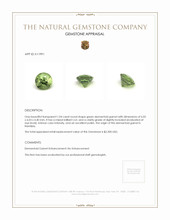 1.04 Ct. Demantoid Garnet from Namibia Appraisal